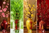  Chọn 1 cành lộc để xem vận tài chính của bạn đang theo xu hướng nào
