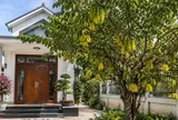 Có nên trồng cây khế trước nhà?