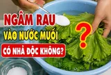 Ngâm rau vào nước muối có nhả độc không?