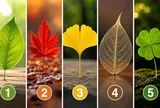 

Chọn 1 chiếc lá để xem vận mệnh của bạn đang có xu hướng thế nào?