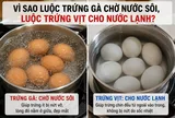 Vì sao luộc trứng gà chờ nước sôi, luộc trứng vịt cho nước lạnh?