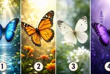 Chọn một cánh bướm, khám phá thông điệp đặc biệt được gửi tới bạn