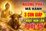 Nương Phật mà hành, 3 con giáp thoát nạn lớn tuổi 49