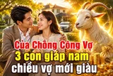 Của Chồng Công Vợ, 3 con giáp nam chiều vợ mới giàu