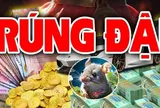 Từ nay tới Tết Nguyên Đán: 3 con giáp Ăn Lộc Phật Tổ Trúng Số giàu nứt vách