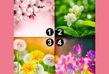 Trắc nghiệm tâm lý: Chọn một khu vườn mơ ước theo trực giác của bạn