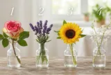 Chọn 1 bông hoa bạn thích nhất