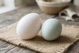 Chọn trứng vịt nên chọn trứng vỏ trắng hay vỏ xanh?