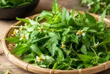 Cỏ xuyến chi hóa ra lại là một loại rau dùng được cả thân mà nhiều người chưa biết