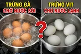 Tại sao luộc trứng vịt cho nước lạnh, luộc trứng gà chờ nước sôi?