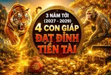 3 năm tới (2027 - 2029), 4 con giáp Đạt Đỉnh Tiền Tài