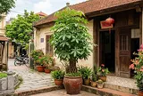 Lời khuyên dành cho những gia đình đang trồng cây ngũ gia bì