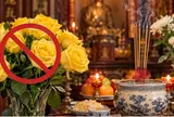 Vì sao hoa hồng vàng lại không được dùng thắp hương?