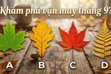 Đâu là chiếc lá bạn thích nhất để khám phá vận may tháng 9?
