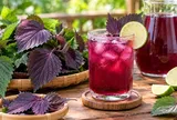  Tin vui cho người thích uống nước tía tô: Thêm một thức uống dân dã nhưng có nhiều điểm đáng chú ý
