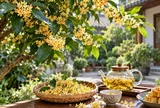 Tin vui cho những nhà đang trồng cây mộc hương: Người xưa nói như "chôn hũ vàng"