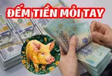Lúa chín cúi đầu: 3 con giáp giản dị, khiêm tốn nhưng đích thực đại gia ngầm, càng già càng giàu có
