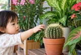 Nhà có trẻ nhỏ, nên cẩn thận khi trồng những loại cây này