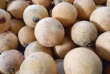 Loại quả xưa chín rụng đầy gốc nay thành đặc sản 85.000 đ/kg, trồng một lần thu hoạch nhiều năm, người thành phố ưa chuộng