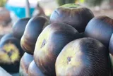 Loại quả xưa chín rụng đầy nay thành đặc sản 120.000 đ/kg, trồng một lần thu hoạch nhiều năm, du khách thích mê