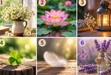 Chọn 1 hình vẽ bạn thích nhất: Xem cách bạn đối diện với thất bại