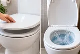Dùng xong nên đóng hay mở nắp bồn cầu? Nhiều người đang làm ngược cách vệ sinh đúng