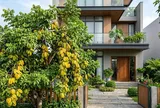 Nên trồng khế chua hay khế ngọt trước nhà thì tốt hơn?