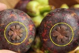 Mẹo chọn măng cụt ngọt lừ, múi to không sượng