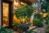 Cây ngũ gia bì hợp mệnh nào nhất?