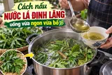 Cách nấu nước lá đinh lăng uống vừa ngon vừa bổ