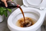 Vì sao nhiều người đổ Coca-Cola vào bồn cầu?
