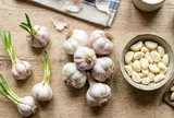 Mẹo bảo quản tỏi cả năm không mọc mầm, thơm ngon như mới mua