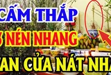 Thắp hương Rằm hay mùng 1 âm lịch nên chọn 1, 3 hay 5 cây nhang để hút lộc?