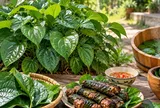 Tin vui cho những gia đình trồng bụi lá lốt