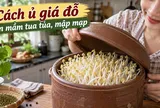 Cách ủ giá đỗ lên mầm tua tủa, mập mạp