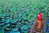 10 địa điểm du lịch nổi tiếng vùng đất Sen hồng, thích hợp ngắm cảnh chữa lành, thưởng thức đặc sản thơm ngon