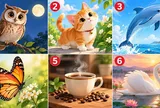 Bạn chú ý vào hình ảnh nào nhất?