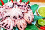 Cách luộc bạch tuộc giòn sần sật, ngọt lừ