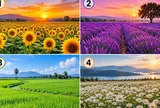 Chọn 1 cánh đồng bạn yêu thích
