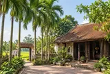 Vì sao thời ông bà ta thích trồng cau trước nhà? 5 lý do đằng sau một nét văn hóa Việt