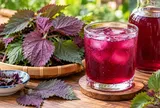 Uống nước tía tô nhớ tránh 6 sai lầm này, tưởng tốt cho sức khỏe nhưng dễ phản tác dụng