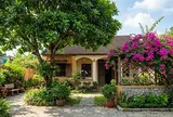 3 loại cây quen thuộc được nhiều gia đình chọn trồng trước nhà, vừa tạo bóng mát vừa mang ý nghĩa phong thủy