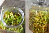 Cách làm hoa đu đủ đực ngâm mật ong để được lâu