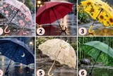 Chọn 1 chiếc ô đi mưa để xem bạn mạnh mẽ mức nào