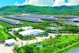 50 năm Vinamilk: Hành trình không ngừng nâng chuẩn