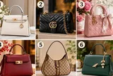 Bạn thấy chiếc túi nào sang xịn nhất?