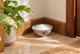 Vì sao nhiều người đặt bát muối ở góc nhà? 4 lý do phía sau không phải ai cũng biết