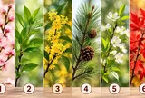 Chọn 1 cành cây bạn ấn tượng nhất