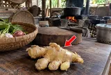Cách bảo quản gừng để cả tháng vẫn không héo quắt
