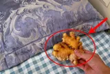 Tại sao bạn nên để một củ gừng dưới gối?